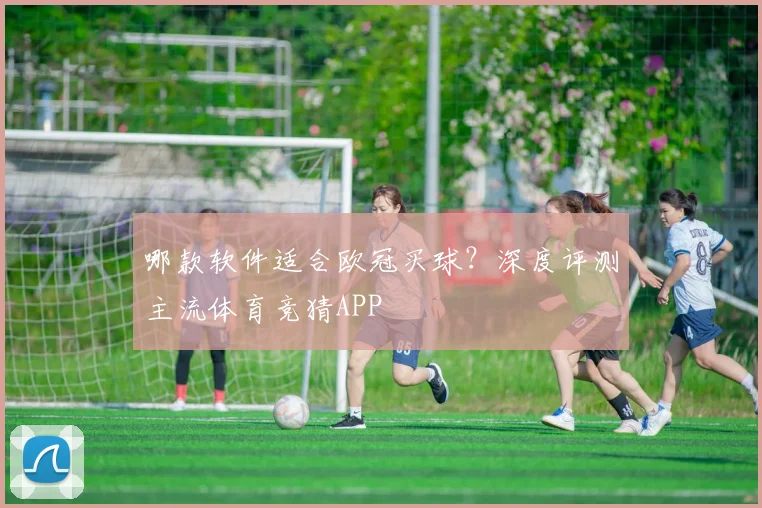 哪款软件适合欧冠买球？深度评测主流体育竞猜APP