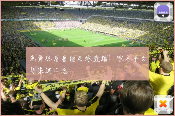 免费观看鲁能足球直播！官方平台与渠道汇总
