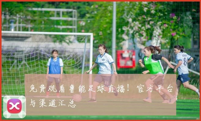 免费观看鲁能足球直播！官方平台与渠道汇总