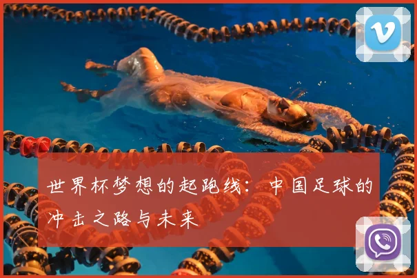 世界杯梦想的起跑线:中国足球的冲击之路与未来