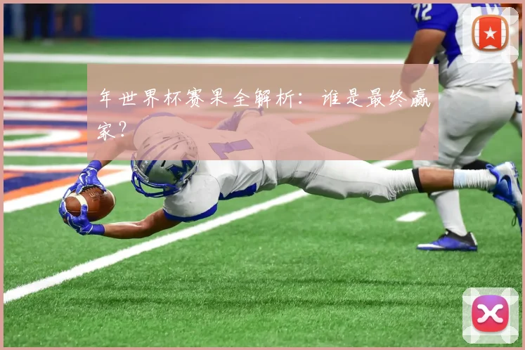 年世界杯赛果全解析：谁是最终赢家？
