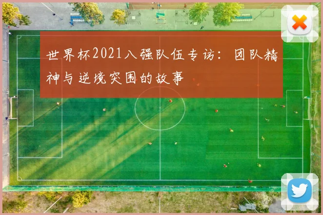 世界杯2021八强队伍专访：团队精神与逆境突围的故事